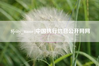 大悟中国执行信息公开网网