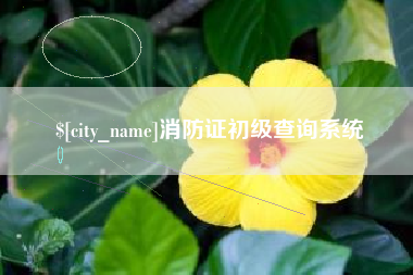 大悟消防证初级查询系统