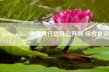 大悟中国执行信息公开网 综合查询