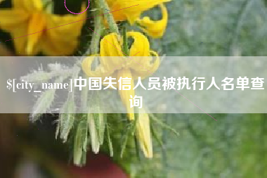 大悟中国失信人员被执行人名单查询