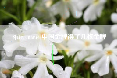 大悟中国金牌得了几枚金牌