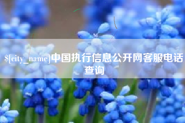 大悟中国执行信息公开网客服电话查询