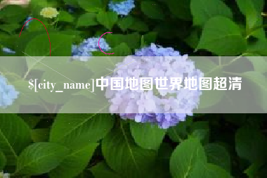 大悟中国地图世界地图超清