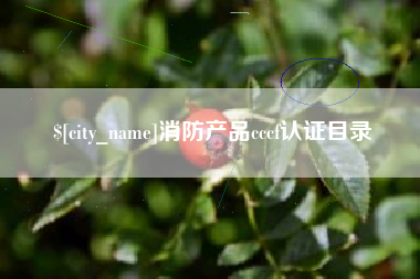 大悟消防产品cccf认证目录
