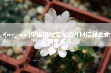 大悟中国执行信息公开网信息更新时间是多久