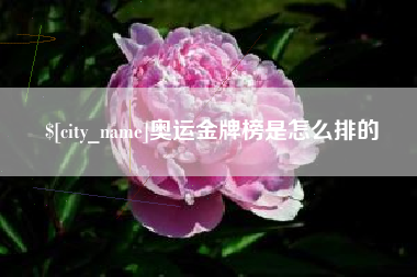 大悟奥运金牌榜是怎么排的