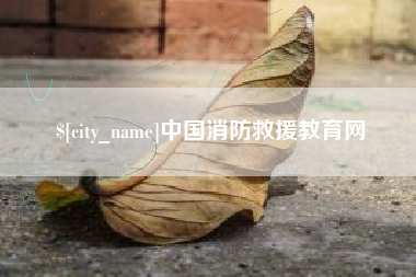 大悟中国消防救援教育网