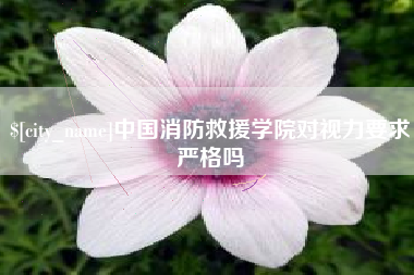 大悟中国消防救援学院对视力要求严格吗