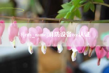 大悟消防设备ccc认证