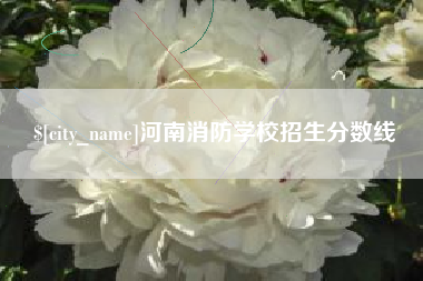 大悟河南消防学校招生分数线