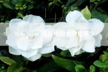 大悟现在中国金牌是多少