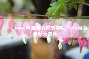 大悟中国消防救援学院2020年河南录取分数线