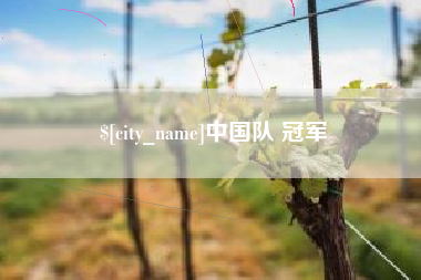 大悟中国队 冠军