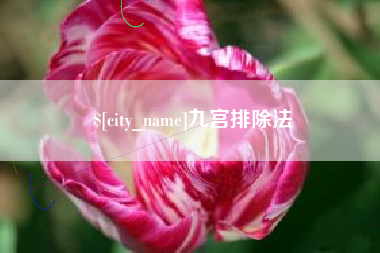 大悟九宫排除法