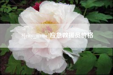 大悟应急救援员价格