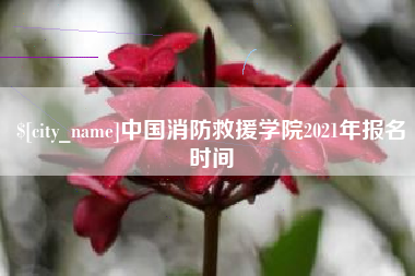 大悟中国消防救援学院2021年报名时间