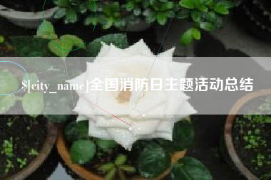大悟全国消防日主题活动总结