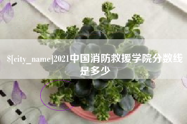 大悟2021中国消防救援学院分数线是多少