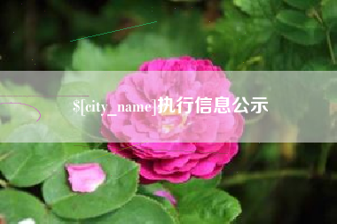 大悟执行信息公示