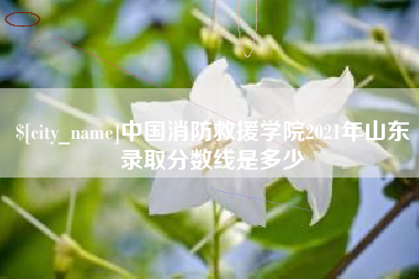 大悟中国消防救援学院2021年山东录取分数线是多少