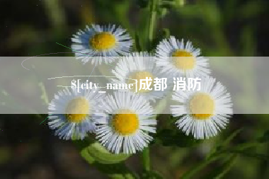 大悟成都 消防
