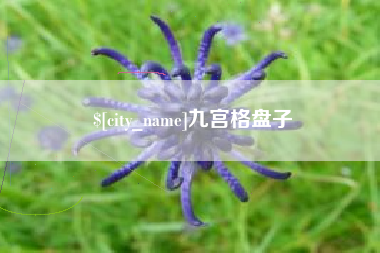 大悟九宫格盘子
