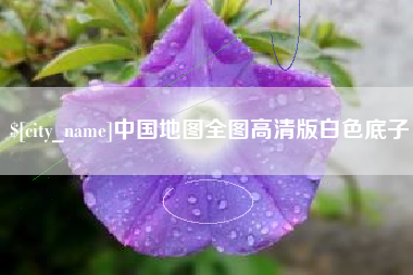 大悟中国地图全图高清版白色底子