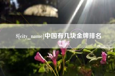 大悟中国有几块金牌排名