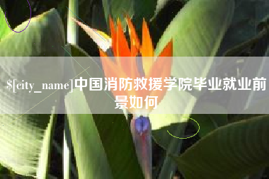 大悟中国消防救援学院毕业就业前景如何