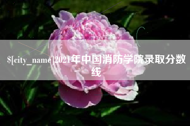 大悟2021年中国消防学院录取分数线