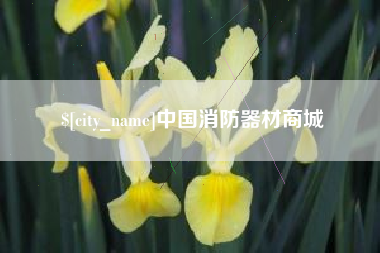 大悟中国消防器材商城