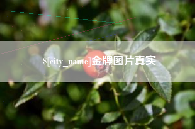 大悟金牌图片真实