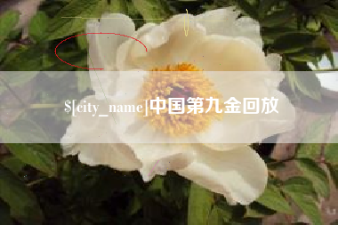 大悟中国第九金回放