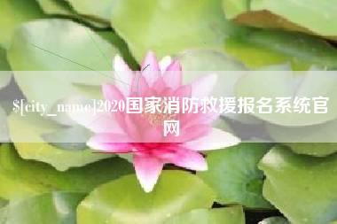 大悟2020国家消防救援报名系统官网