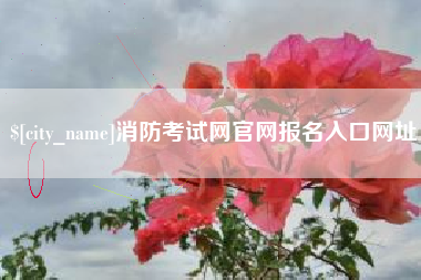 大悟消防考试网官网报名入口网址