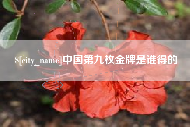 大悟中国第九枚金牌是谁得的