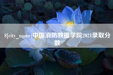 大悟中国消防救援学院2021录取分数