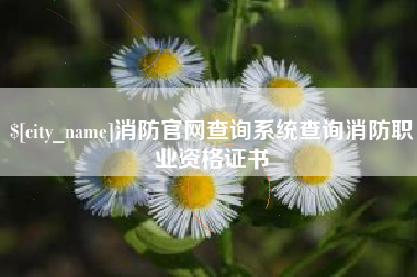 大悟消防官网查询系统查询消防职业资格证书