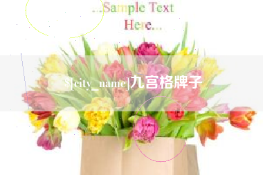 大悟九宫格牌子