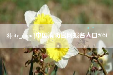 大悟中国消防官网报名入口2024