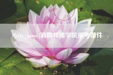 大悟消防救援学院报考条件