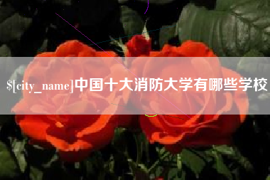 大悟中国十大消防大学有哪些学校