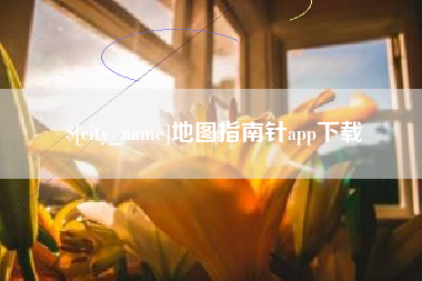 大悟地图指南针app下载