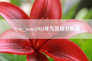大悟2021年九宫格分解图