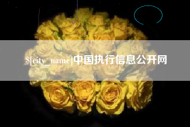 大悟中国执行信息公开网