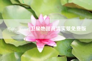 大悟卫星地图高清实景免费版