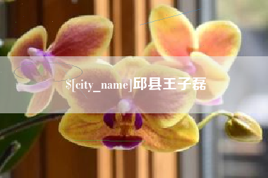 大悟邱县王子磊