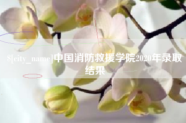 大悟中国消防救援学院2020年录取结果