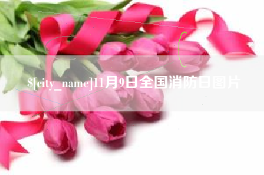 大悟11月9日全国消防日图片
