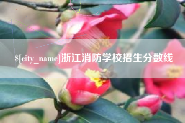 大悟浙江消防学校招生分数线